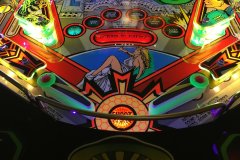 AFM-Flippers-4
