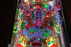 AFM-Flippers-5