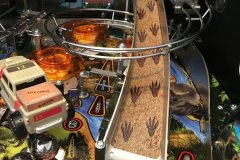 Jurassic Park - Decal | Pteranodon Ramp